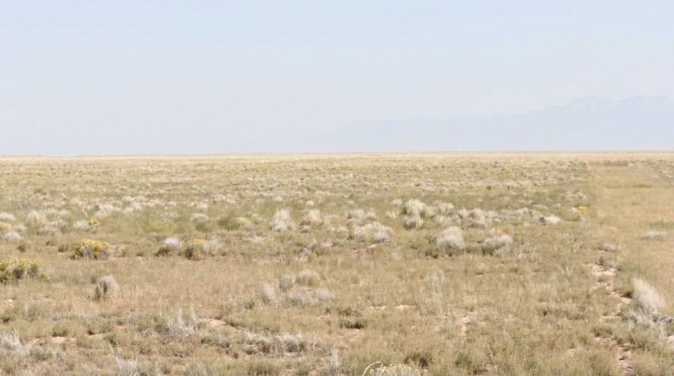 The site's terrain, undeveloped